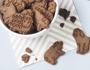 Whole Wheat Chocolate Animal Cookies